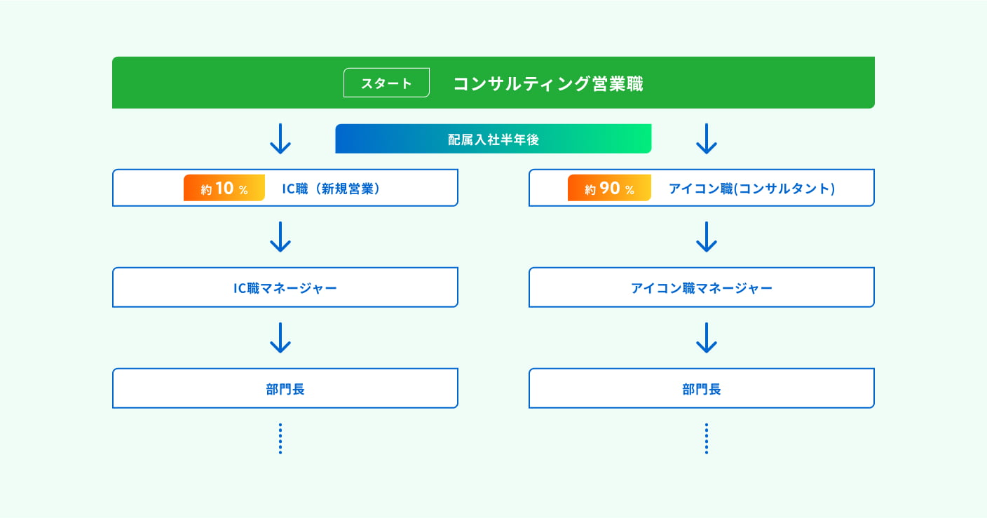 新入社員のキャリアパスの図